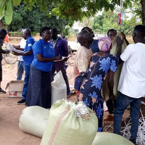 Organic Farming Advisory Organization